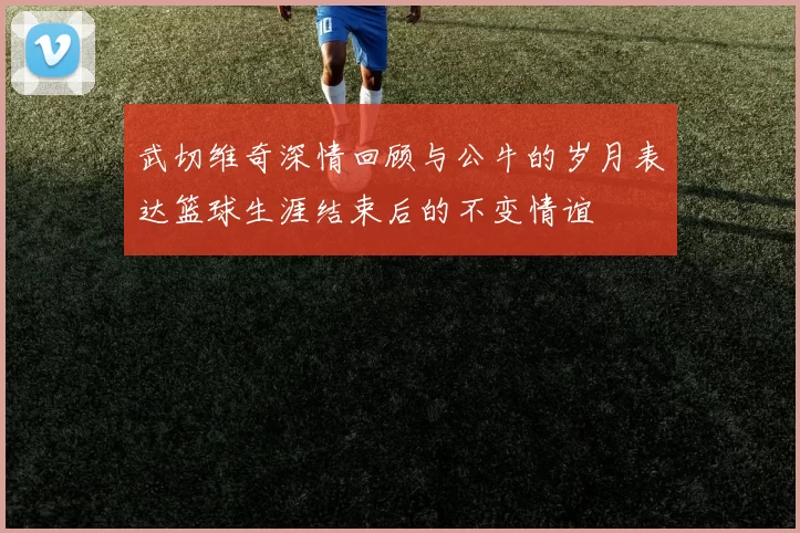 武切维奇深情回顾与公牛的岁月表达篮球生涯结束后的不变情谊
