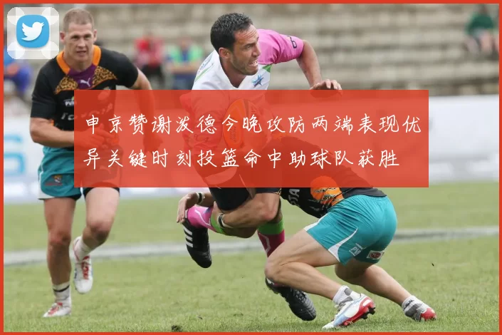 申京赞谢泼德今晚攻防两端表现优异关键时刻投篮命中助球队获胜